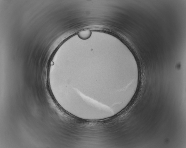 X0000114561418200911301237