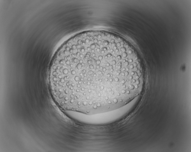 X0000114561420200911301237