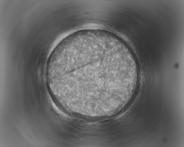 X0000114561421200911301237