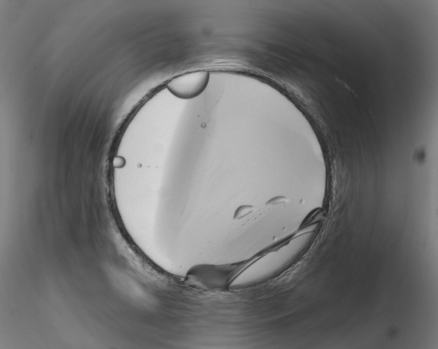 X0000114561422200911301237
