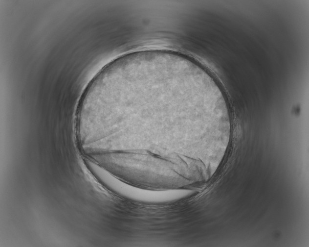 X0000114561423200911301237
