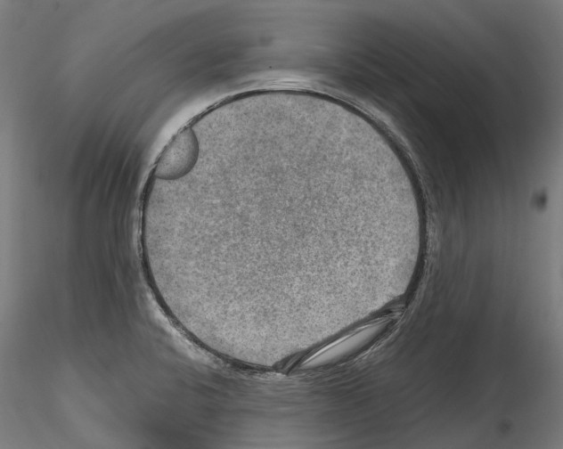 X0000114561424200911301237