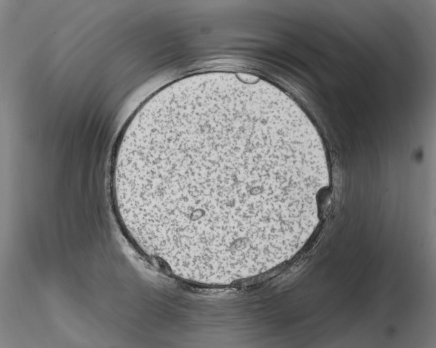 X0000114561426200911301237