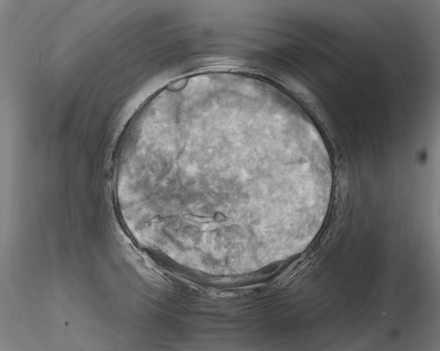 X0000114561427200911301237