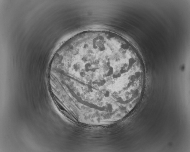 X0000114561429200911301237