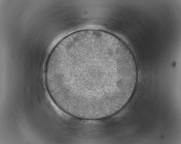 X0000114561430200911301237