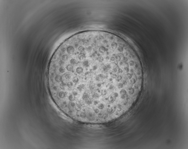 X0000114561432200911301237