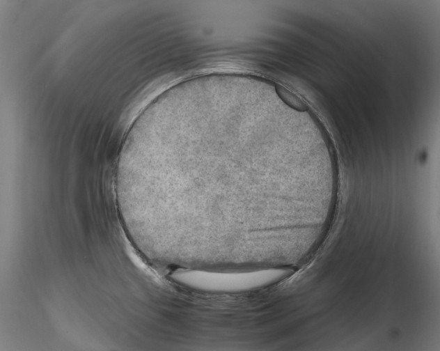 X0000114561433200911301237