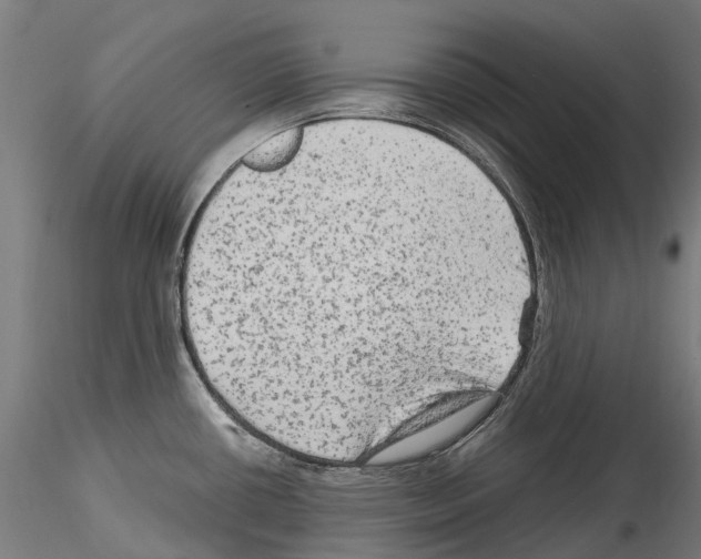 X0000114561434200911301237
