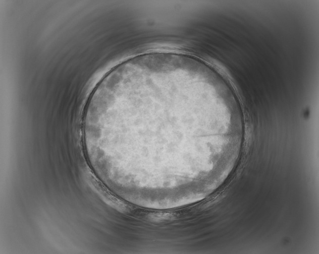 X0000114561435200911301237