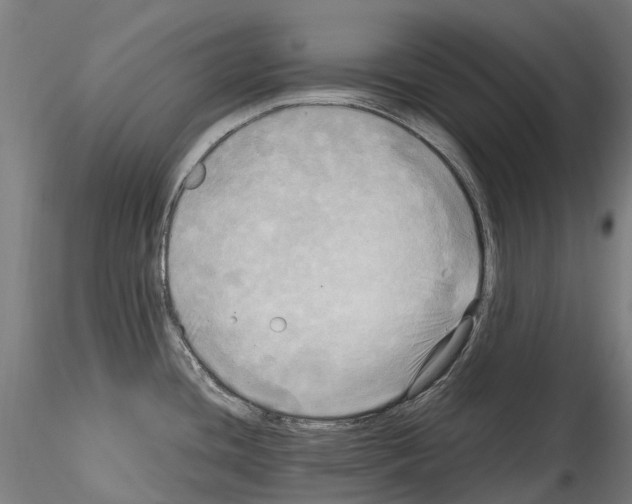 X0000114561436200911301237