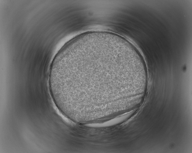 X0000114561437200911301237