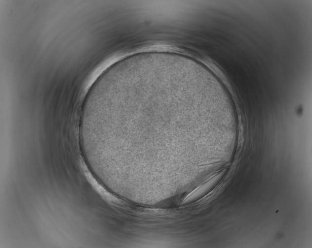 X0000114561438200911301237