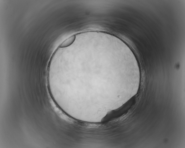 X0000114561439200911301237