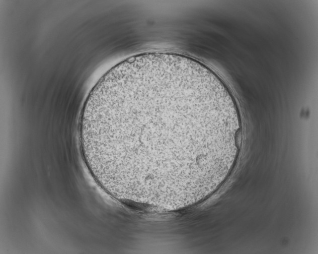 X0000114561440200911301237