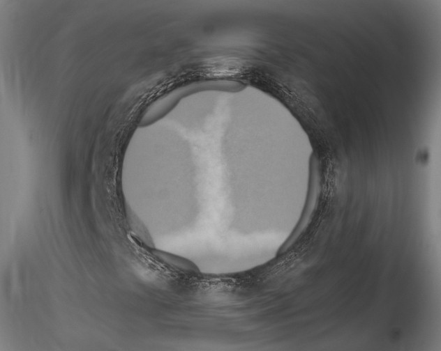 X0000114561441200911301237