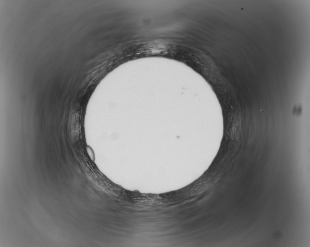 X0000114561442200911301237