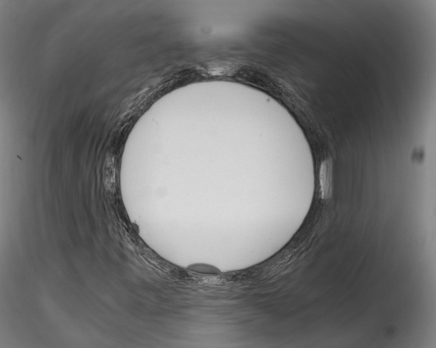 X0000114561443200911301237