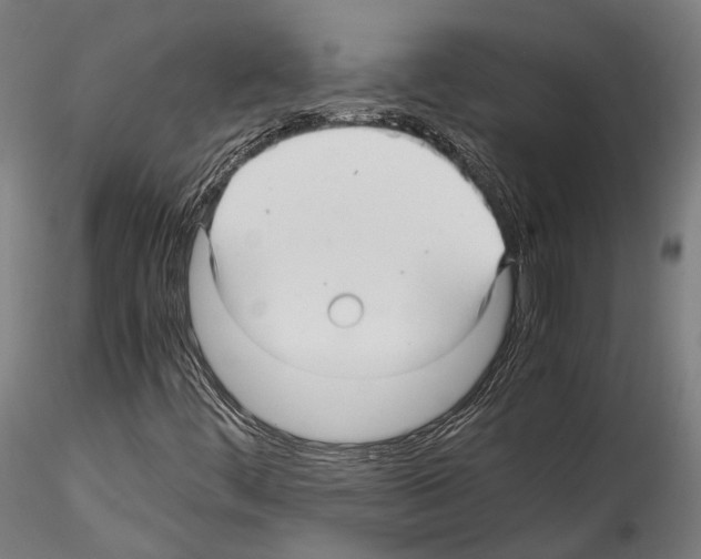 X0000114561444200911301237