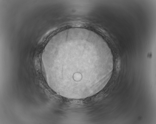 X0000114561446200911301237