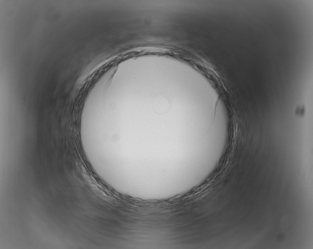 X0000114561448200911301237