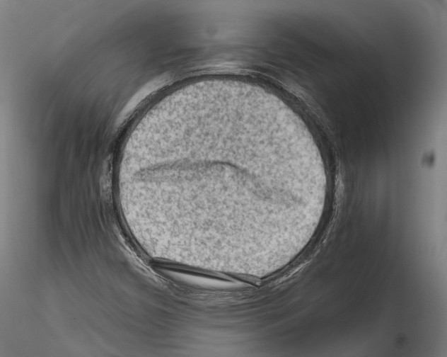 X0000114561450200911301237