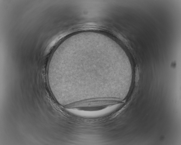 X0000114561453200911301237
