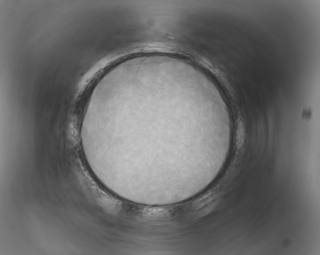 X0000114561454200911301236