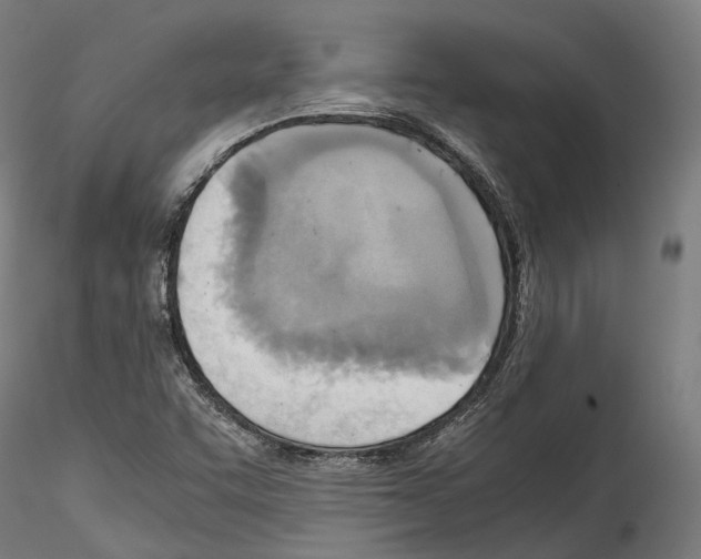 X0000114561455200911301236