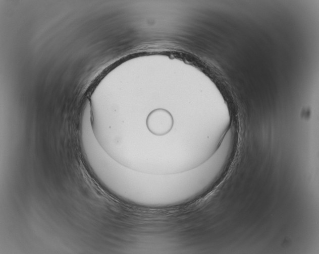 X0000114561457200911301236