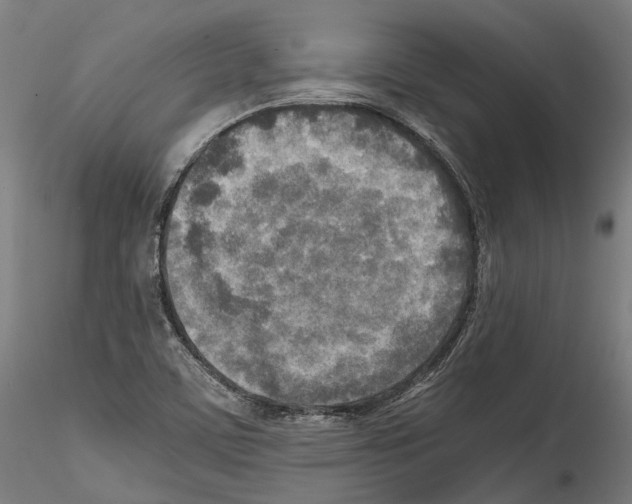 X0000114561459200911301236