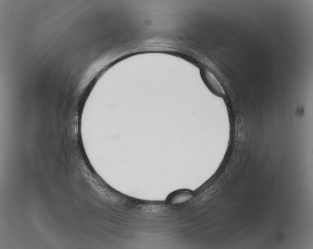 X0000114561461200911301236