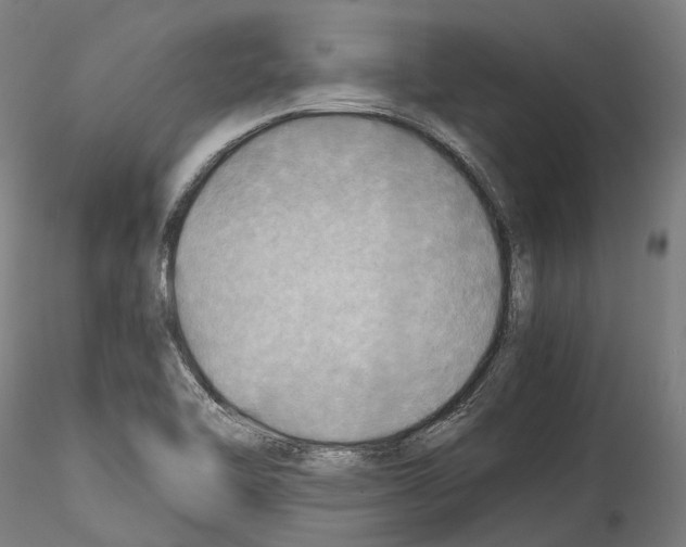 X0000114561462200911301236
