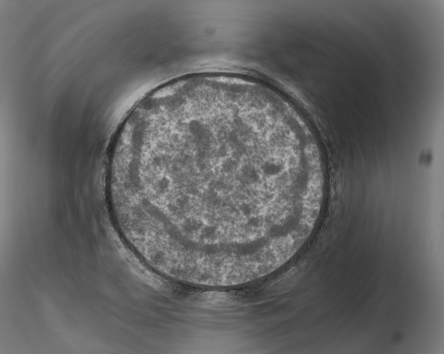 X0000114561463200911301236