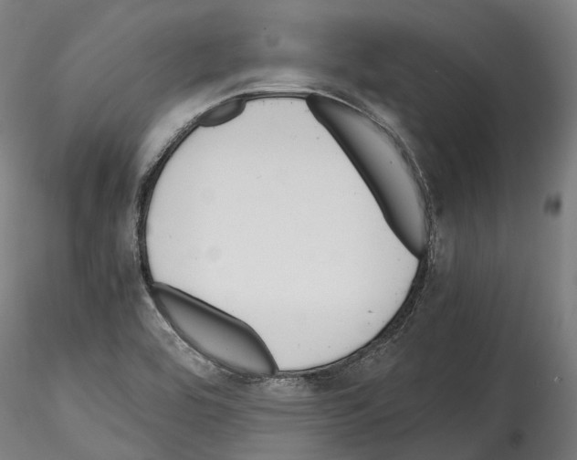 X0000114561464200911301236