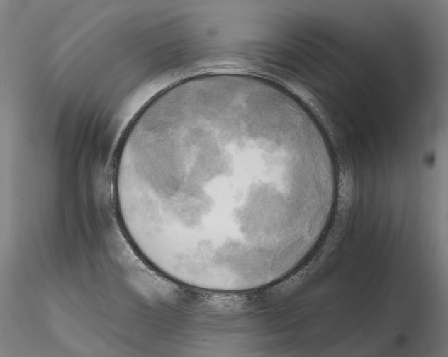 X0000114561466200911301236