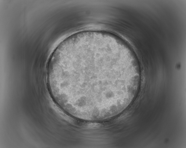 X0000114561467200911301236