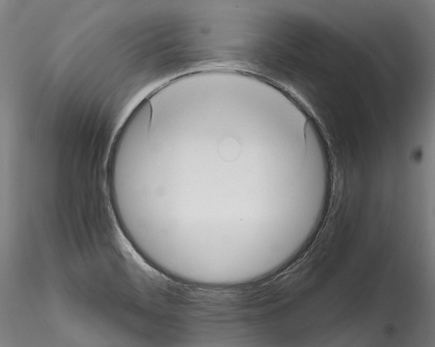 X0000114561468200911301236