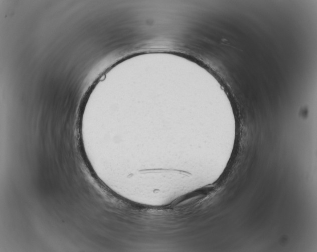 X0000114561469200911301236