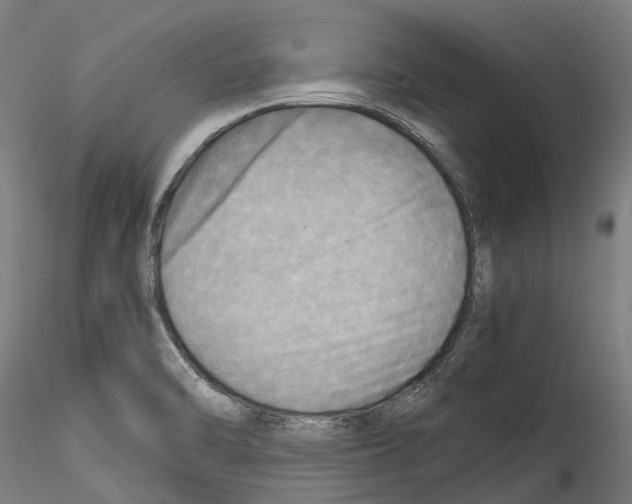 X0000114561470200911301236