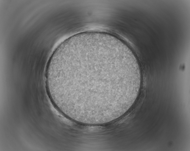 X0000114561471200911301236
