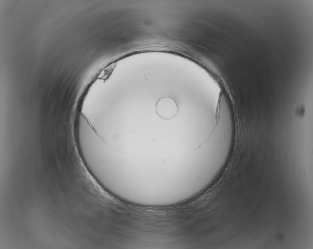 X0000114561472200911301236