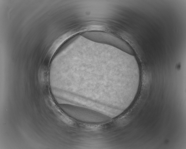 X0000114561473200911301236