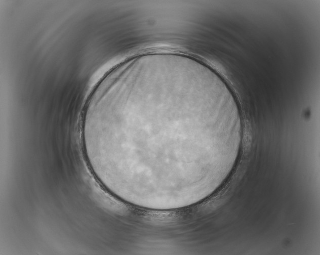 X0000114561474200911301236