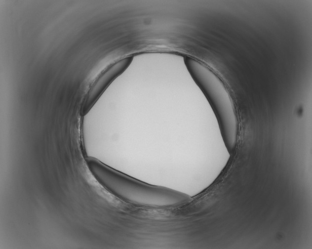 X0000114561476200911301236