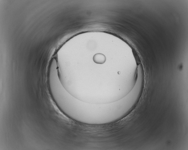 X0000114561477200911301236