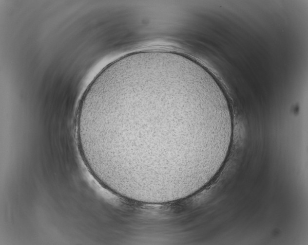 X0000114561478200911301236