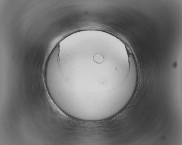 X0000114561480200911301236