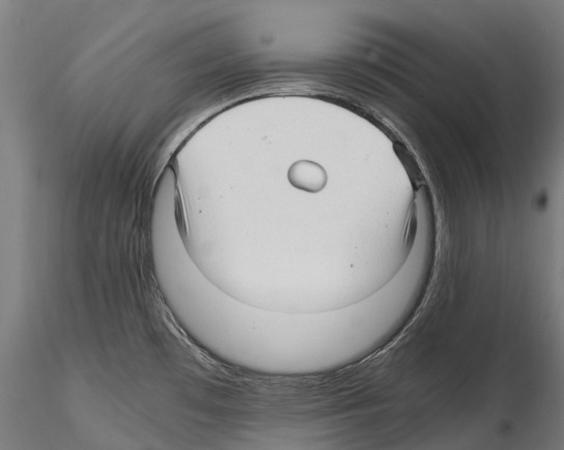 X0000114561481200911301236