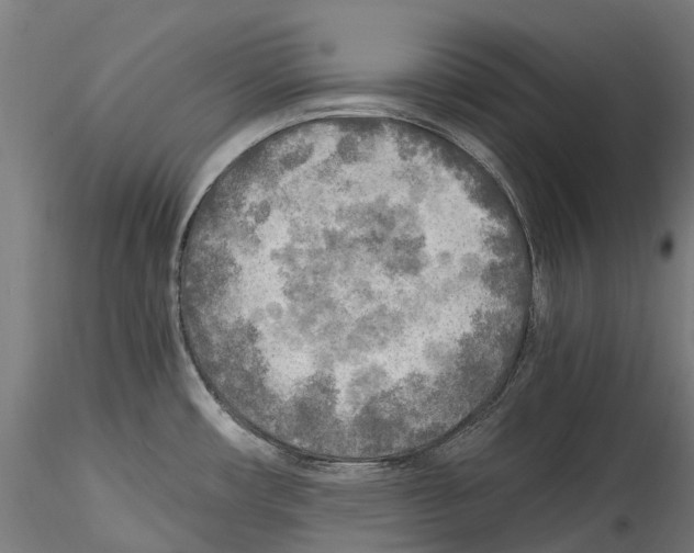 X0000114561482200911301236